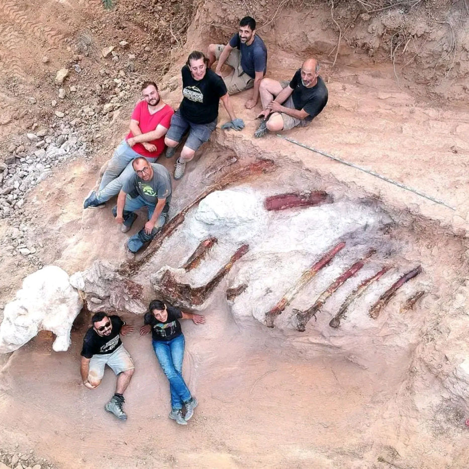 Hallan en Portugal esqueleto del que podría ser el mayor dinosaurio de Euro...
