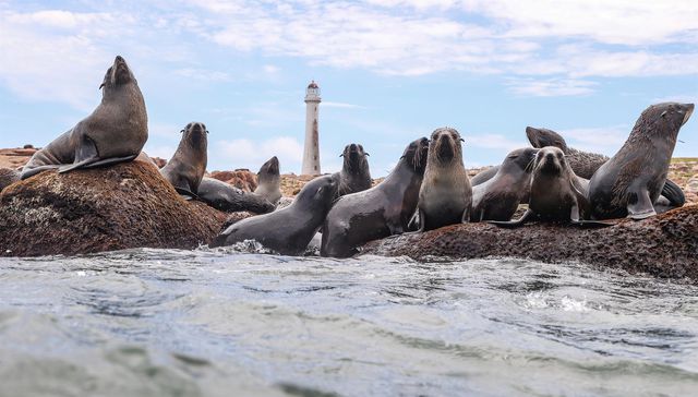 El mar también es territorio