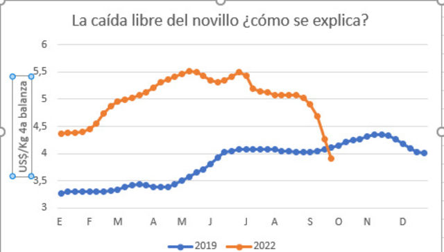 Escribe Eduardo Blasina
