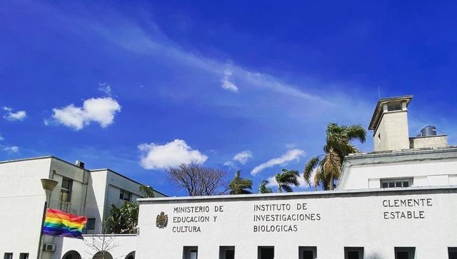 No aguantaron los trapos