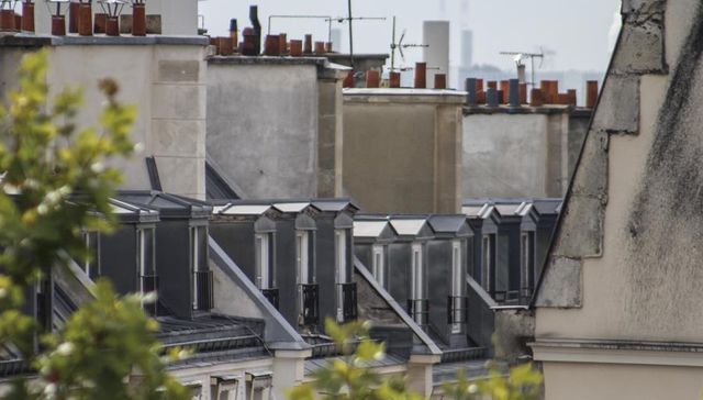 Estética ecologista