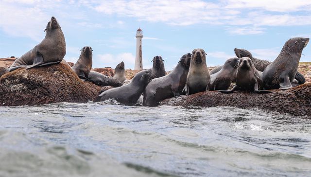El mar también es territorio