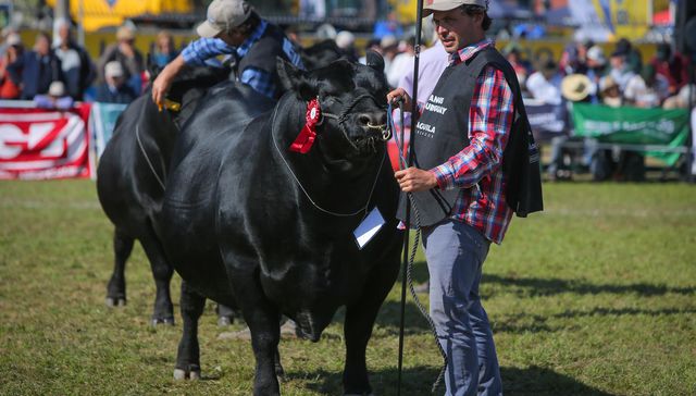 Criadores y genética