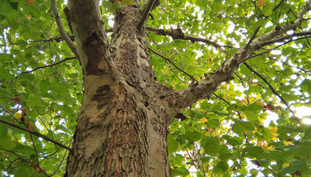 Aquí no hay quien viva