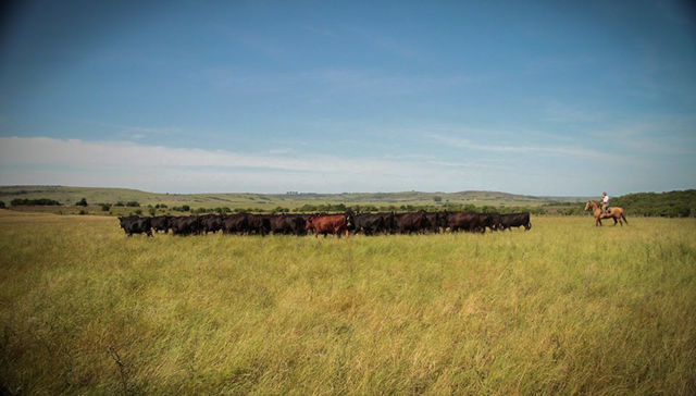 La macro pospandemia