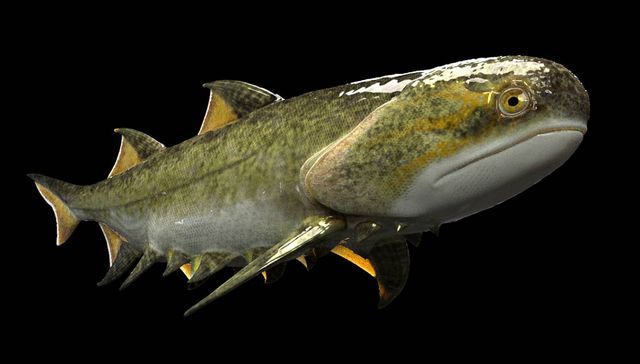 Mordidas primigenias