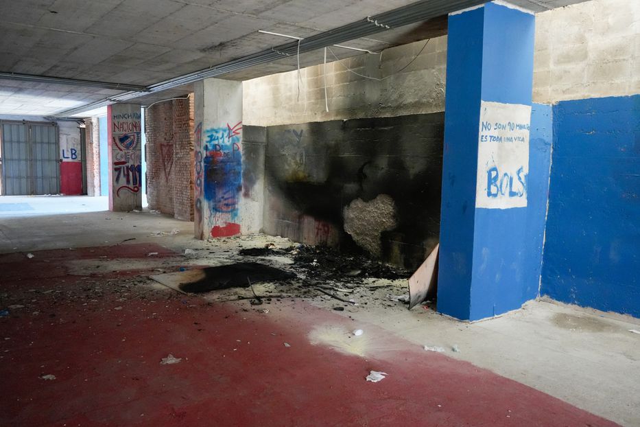 Es para vos, gallina