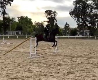 Aprovechando el tiempo