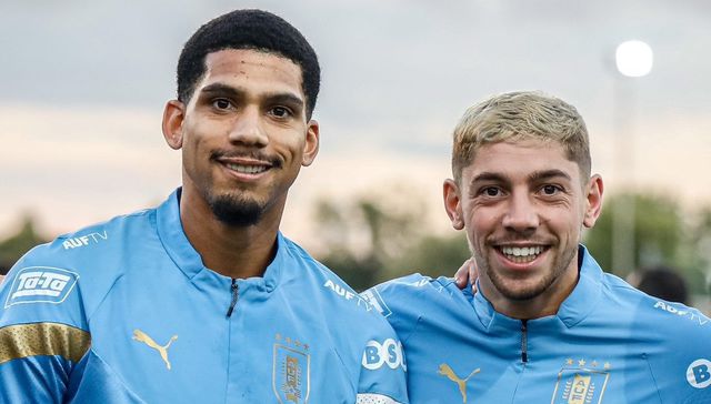 Contando los billetes