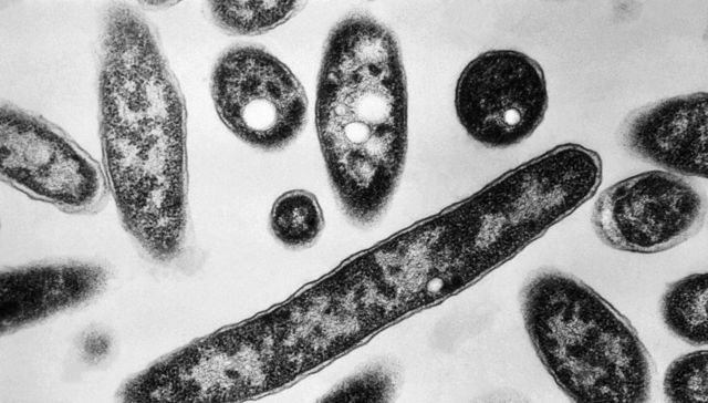 Por The New York Times