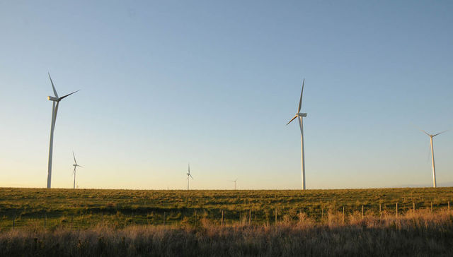 Verde esperanza