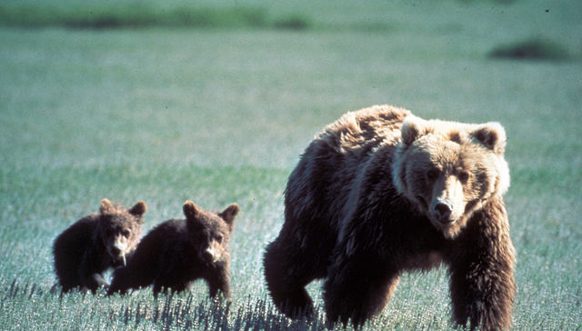 Por The New York Times