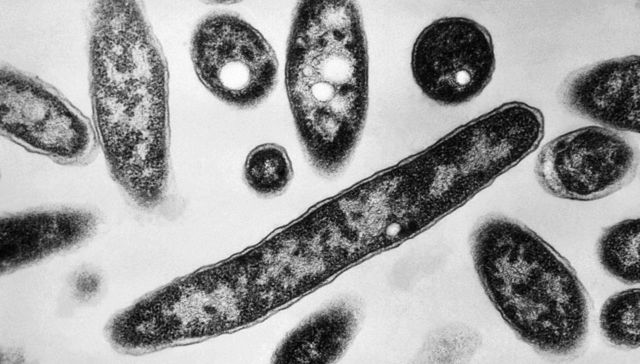 Por The New York Times