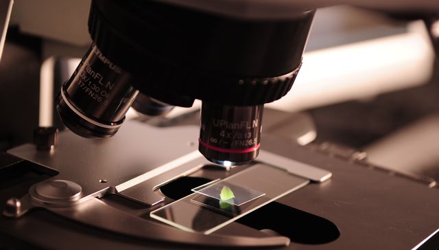 Escribe Daniela Hirschfeld