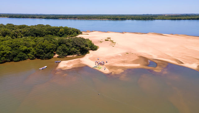 Regenerar naturaleza