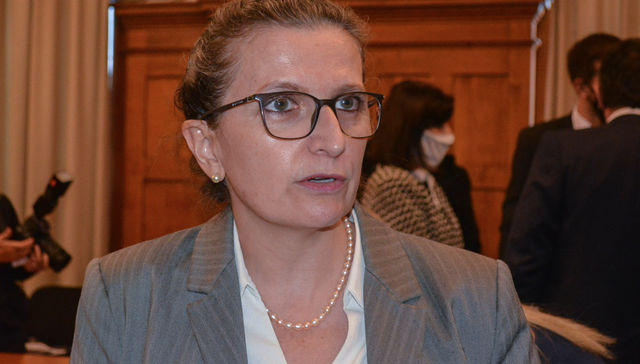 Tranquilo, Pingüino