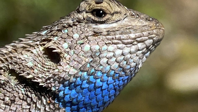 Por The New York Times