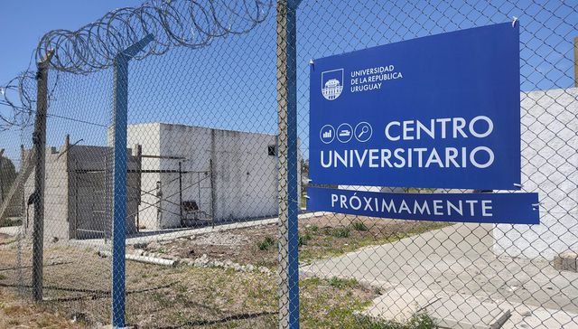 Libertad y educación