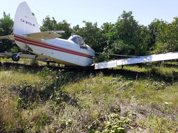 Desgracia con suerte: avioneta se estrelló en Salto y el piloto resultó ileso