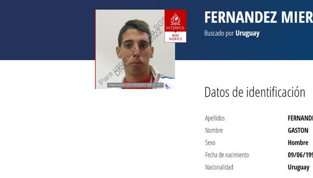 Se busca
