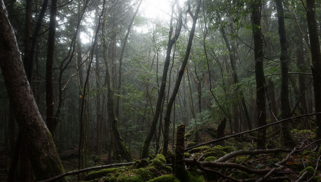 Por The New York Times