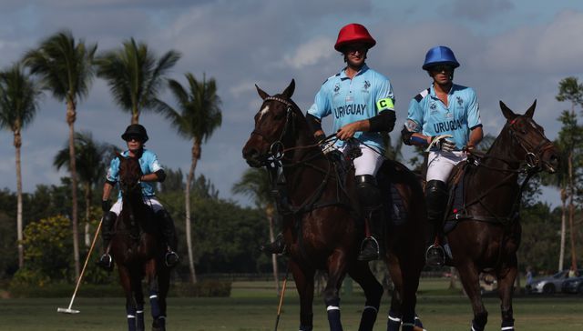 Polo de exportación