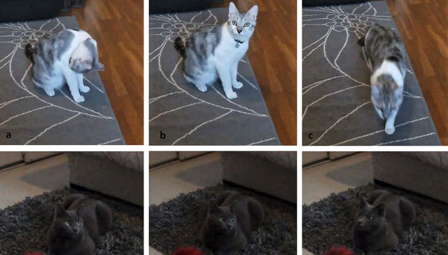 Por The New York Times