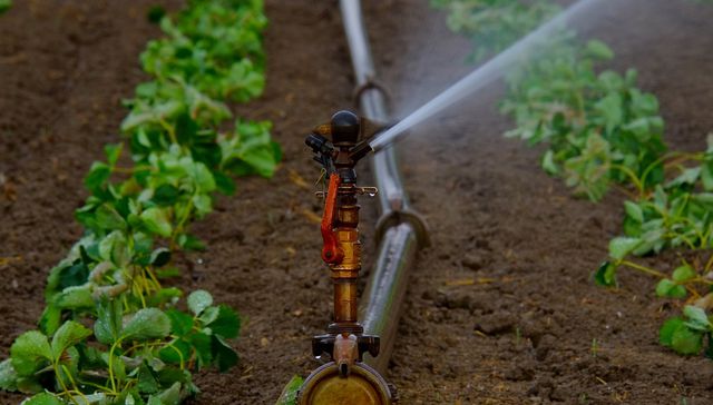 Planeta Agua