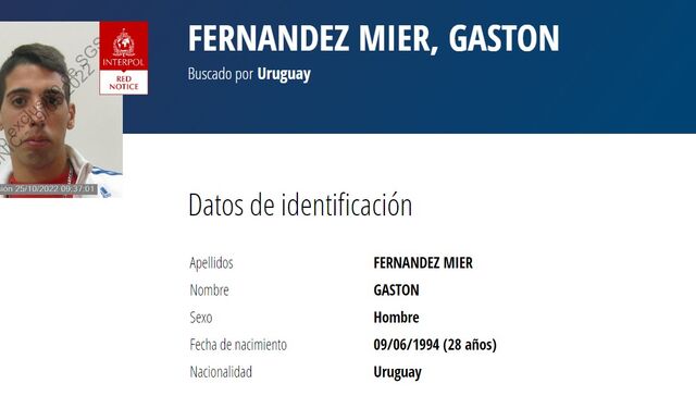 Se busca