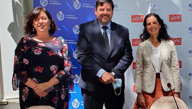 Escribe Faye O'Connor