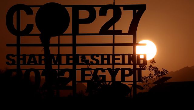 Las partes por el todo