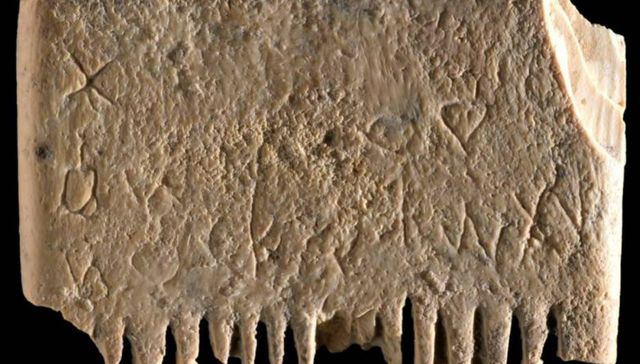 Sacatelo con peine fino