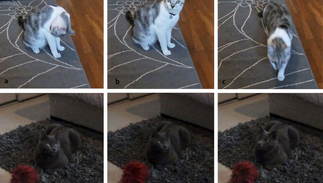 Por The New York Times