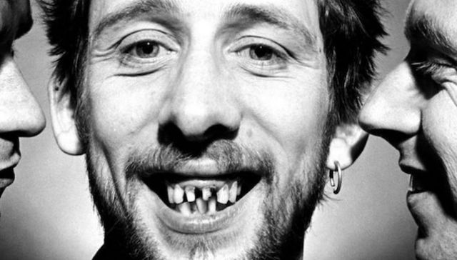 Colmillo no tan blanco