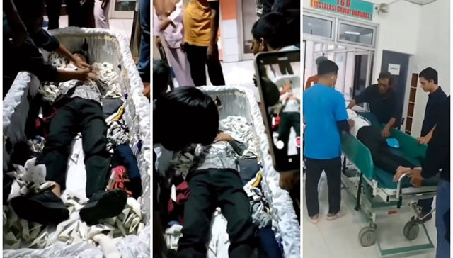 La vida se abre paso