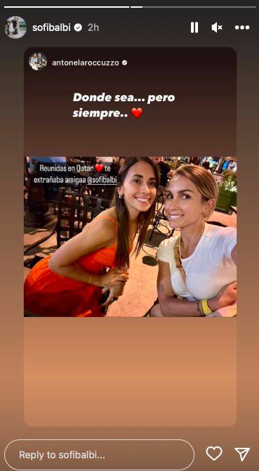 Foto: Historias de Instagram @sofibalbi