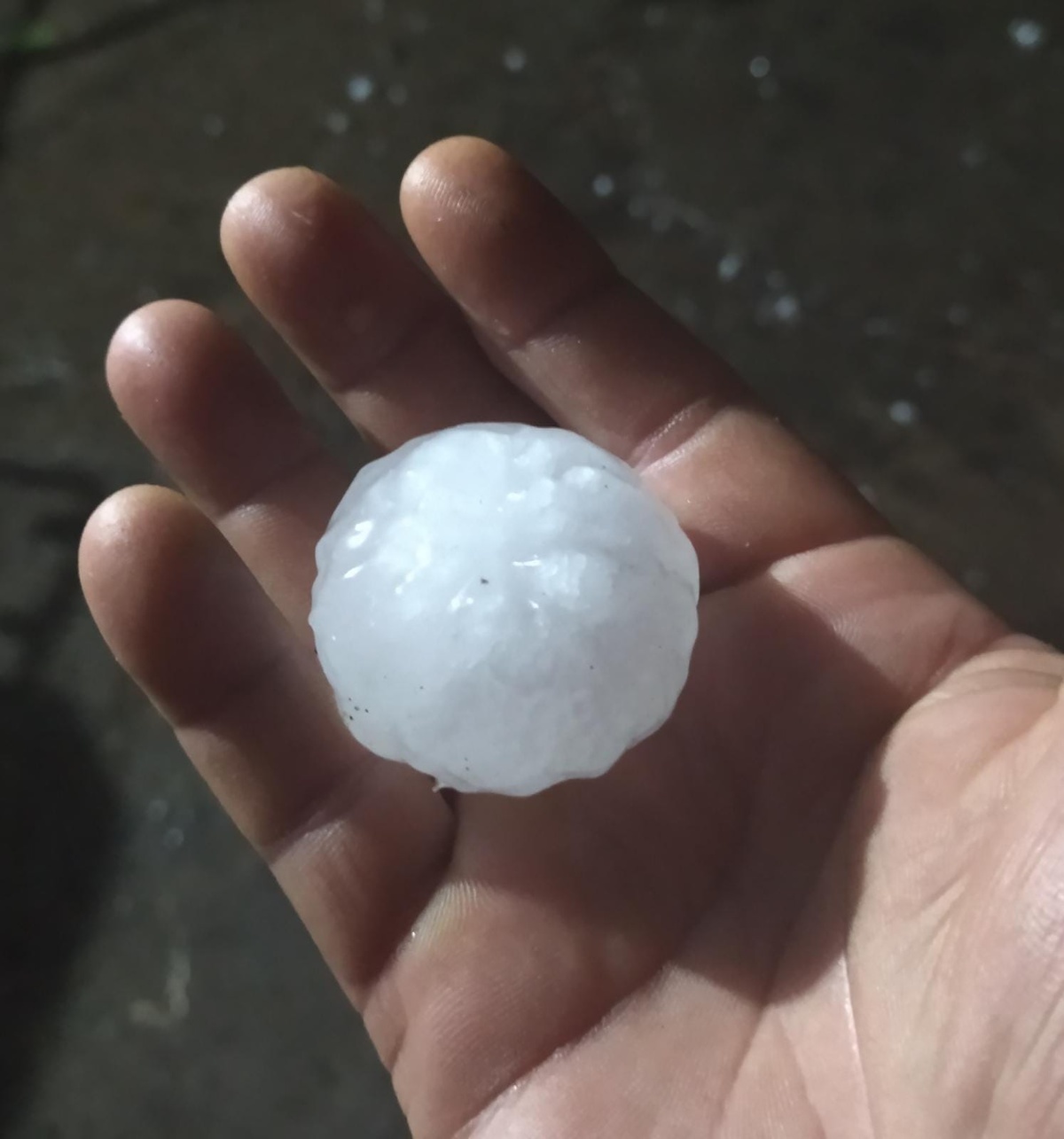 Cortes De Luz Y Agua Caída De árboles Y Granizada El Rastro De La Tormenta Del Domingo