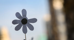 En la memoria