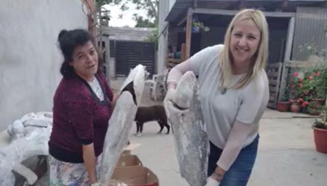 Sueño solidario