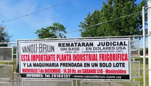Bichos de campo