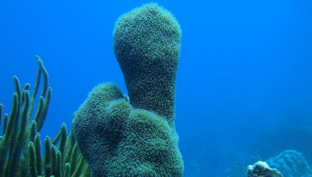¿Cuánto más hay que esperar?