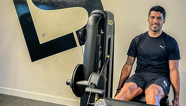 Deshoja la margarita