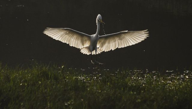 “Una manera holística”