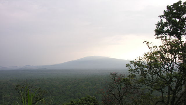 Guardianes de la naturaleza