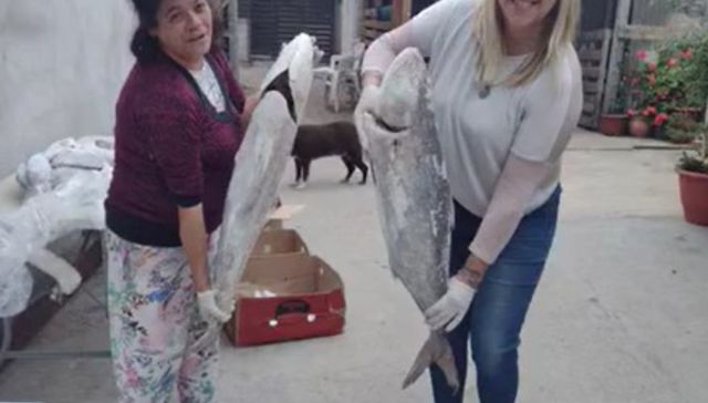 Sueño solidario