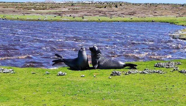 La isla de la fantasía II