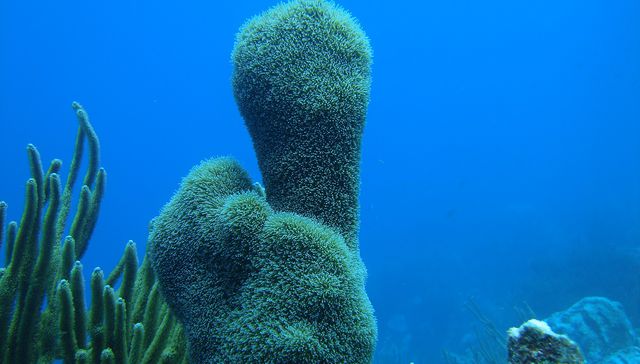 ¿Cuánto más hay que esperar?