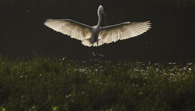 “Una manera holística”