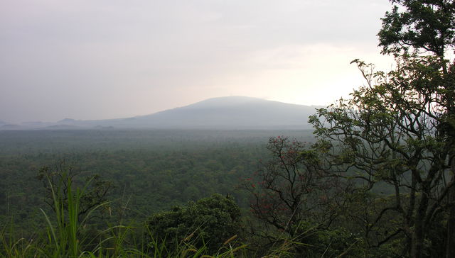 Guardianes de la naturaleza