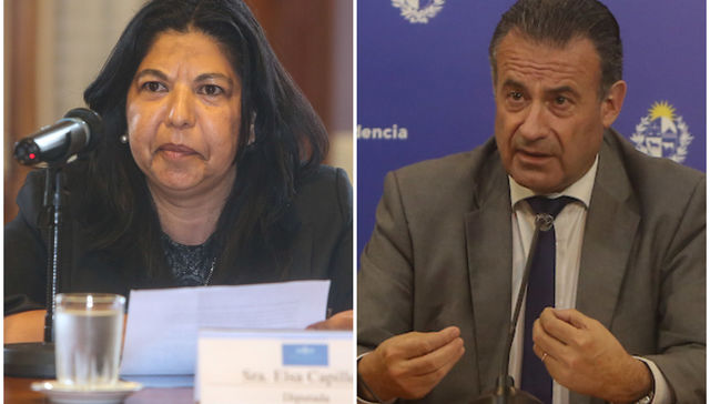 Compañeros, chequendengue